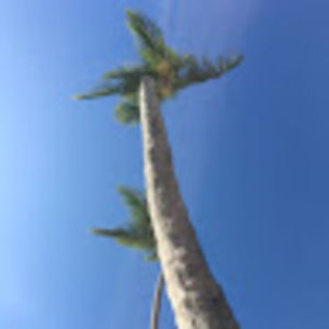 Meet your Posher, Naomi